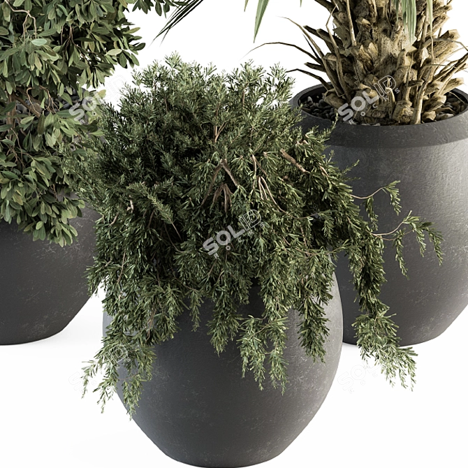 Indoor Oasis: 277 Plant Set 3D model image 3