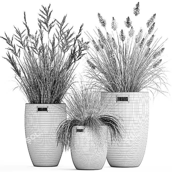 Exotic Plant Collection: Decorative Grasses & Reeds in Rattan Baskets - Perfect for Indoor and Outdoor Décor 3D model image 6