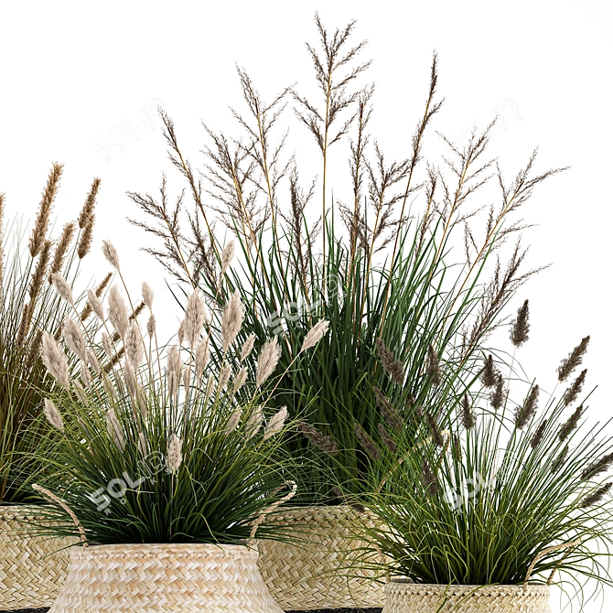 Tropical Plant Collection: Decorative Rattan Baskets & Exotic Indoor Plants 3D model image 3