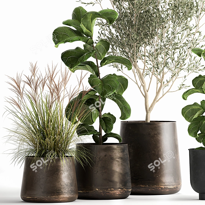 Exotic Plant Collection in Rustic Pots 3D model image 2