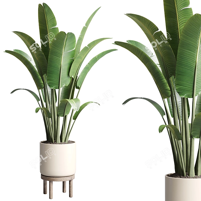 Ravenala Vase: Indoor/Outdoor Plant Pot 3D model image 1