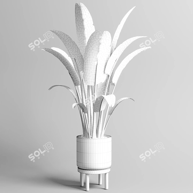 Ravenala Vase: Indoor/Outdoor Plant Pot 3D model image 3