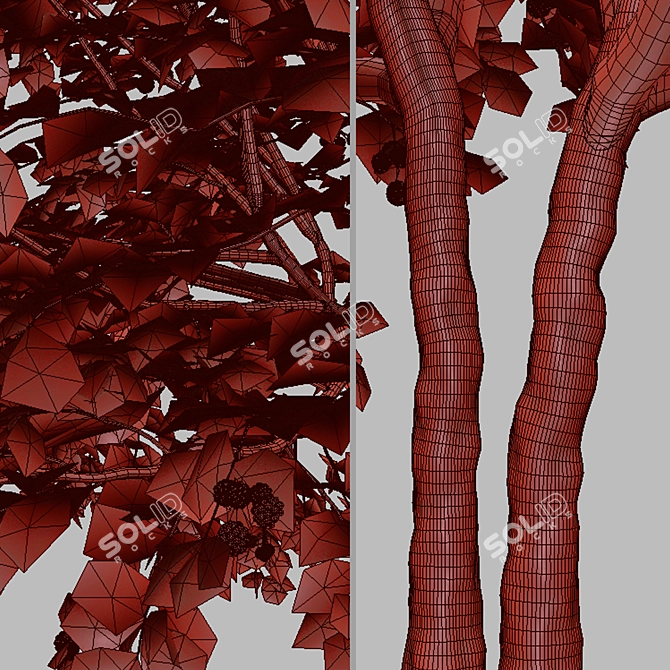 Thorny Delight: Bramble Plant Duo 3D model image 4