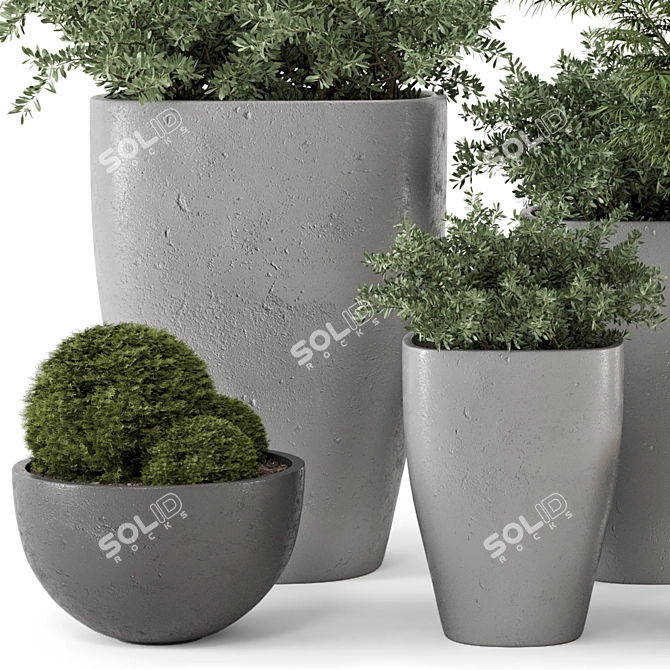 Rusty Concrete Pot Outdoor Bush Set 3D model image 2