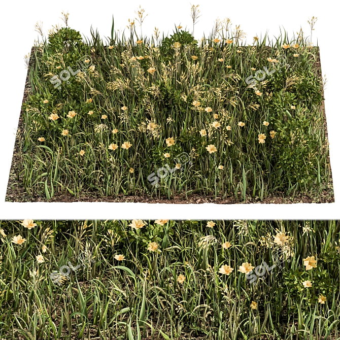 Lush Green Grass Set 3D model image 2
