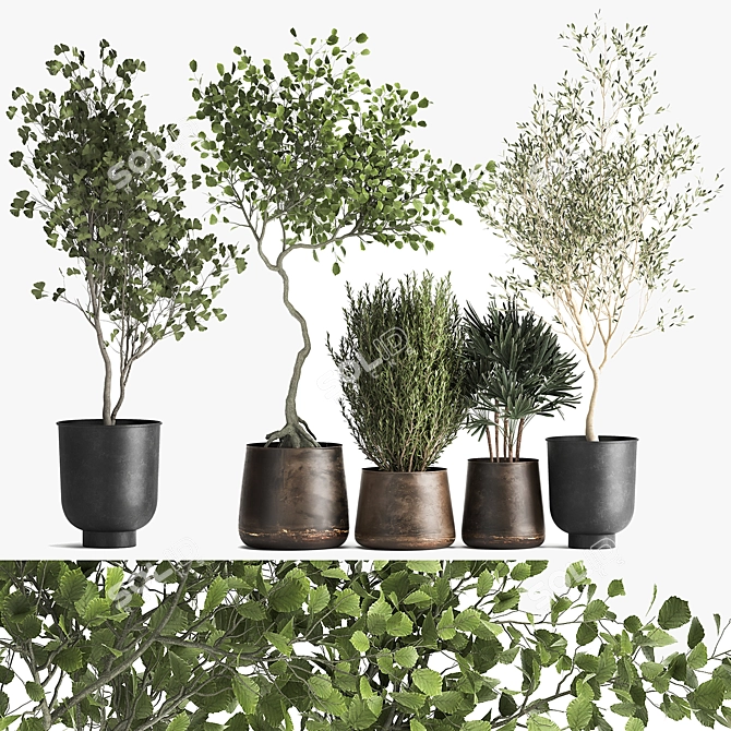 Metallic Pot Plant Collection 3D model image 1