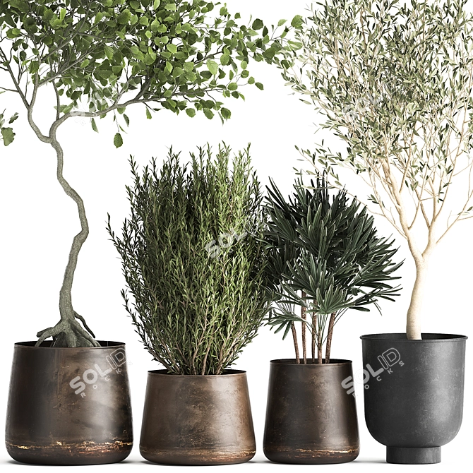 Metallic Pot Plant Collection 3D model image 3