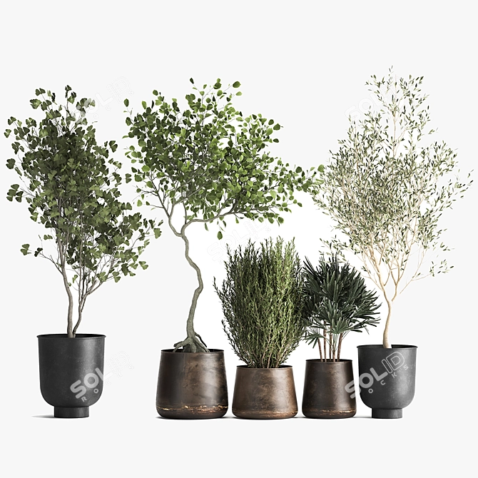 Metallic Pot Plant Collection 3D model image 6