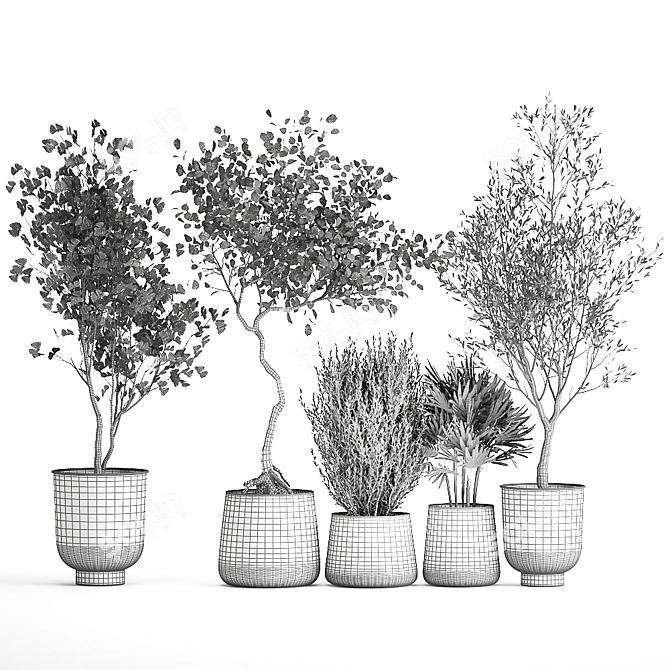 Metallic Pot Plant Collection 3D model image 7