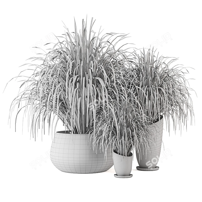 Assorted Indoor Plants Set 3D model image 6