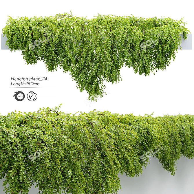 24-Inch Hanging Plant: Lengthy, Vibrant, and Versatile 3D model image 1