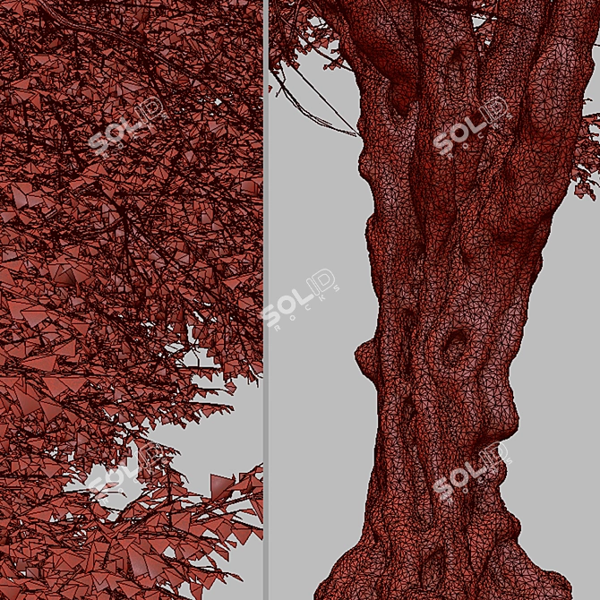 Oregon Ash Tree Set - 2 Majestic Fraxinus latifolia 3D model image 5