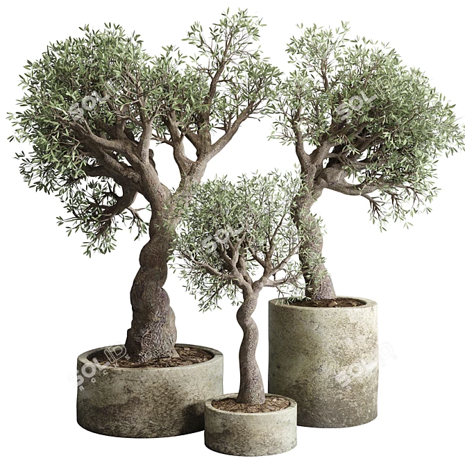 Vintage Concrete Vase: Outdoor Tree Pot 3D model image 1