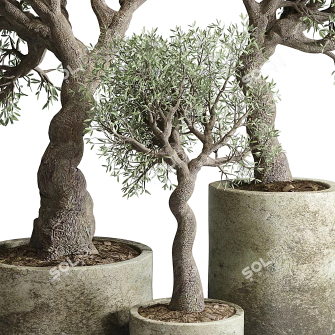 Vintage Concrete Vase: Outdoor Tree Pot 3D model image 4