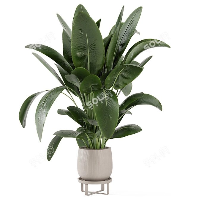 Rusty Concrete Pot Indoor Plants 3D model image 6