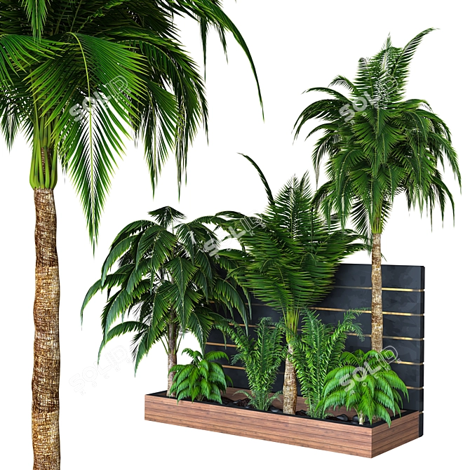 Outdoor Plant Collection 2015 3D model image 1
