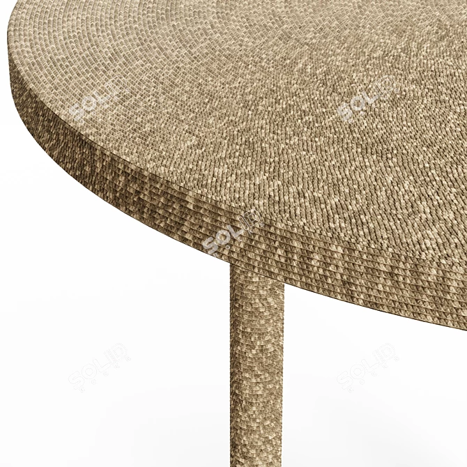 Seagrass Rope Side Table 3D model image 5