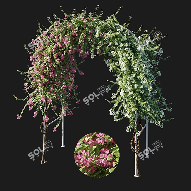 Exquisite Bougainvillea 03: Stunning 3D Plant 3D model image 1