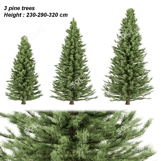  Evergreen Pine Trees Vol. 22 3D model image 1