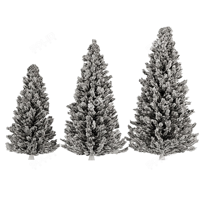  Evergreen Pine Trees Vol. 22 3D model image 4