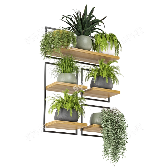 Rustic Indoor Plants Set 3D model image 2