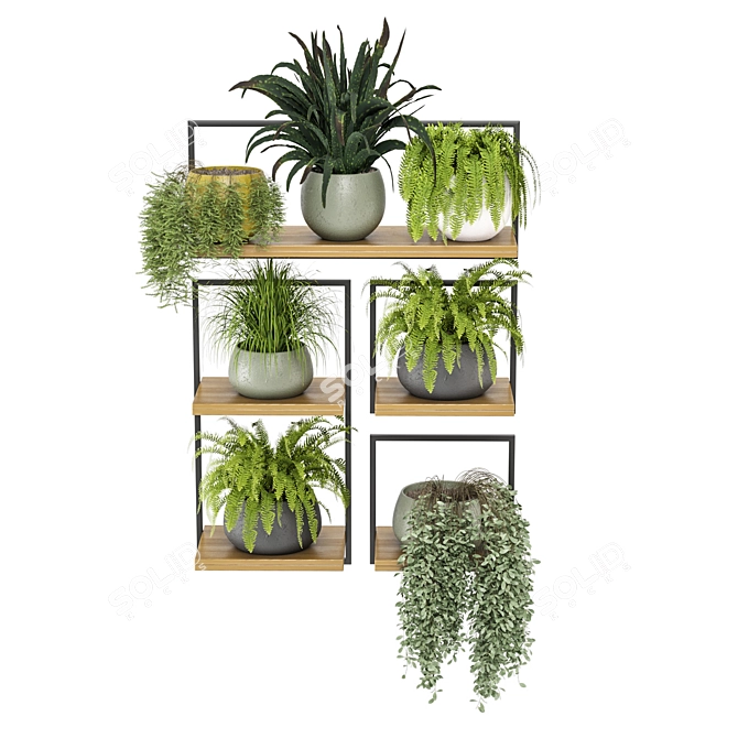 Rustic Indoor Plants Set 3D model image 3