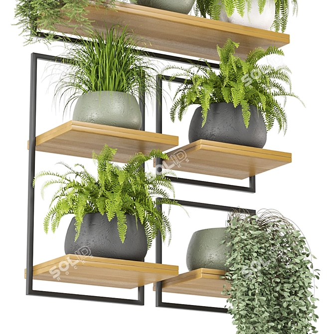 Rustic Indoor Plants Set 3D model image 4