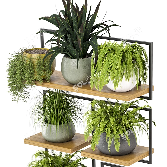 Rustic Indoor Plants Set 3D model image 5
