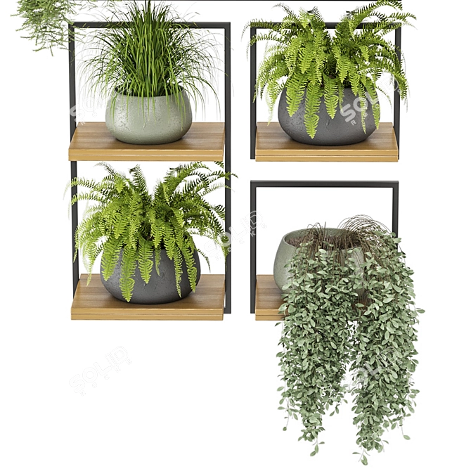 Rustic Indoor Plants Set 3D model image 6