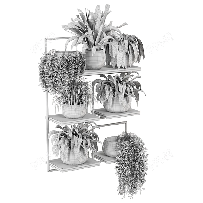 Rustic Indoor Plants Set 3D model image 7