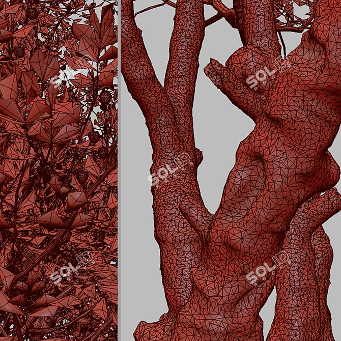 Juicy Bitter Cherry Tree Set (2 Trees) 3D model image 6