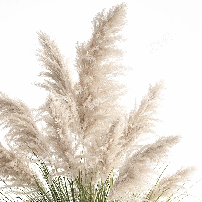 Exotic Plant Collection: Decorative Plants for Indoor and Outdoor Spaces 3D model image 2