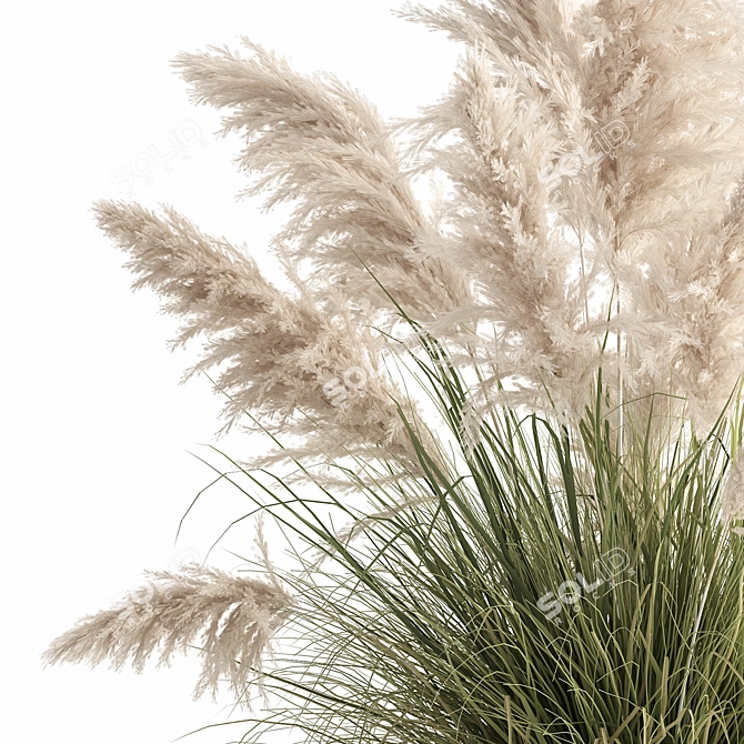 Exotic Plant Collection: Decorative Plants for Indoor and Outdoor Spaces 3D model image 3