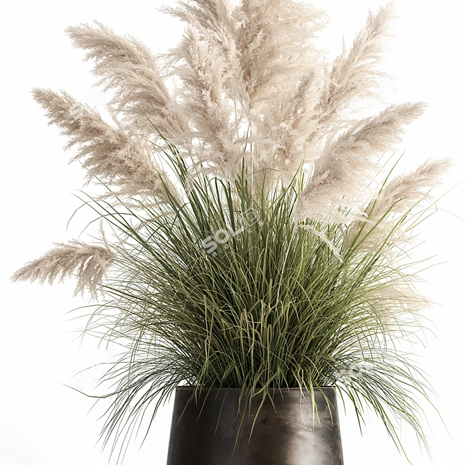 Exotic Plant Collection: Decorative Plants for Indoor and Outdoor Spaces 3D model image 4