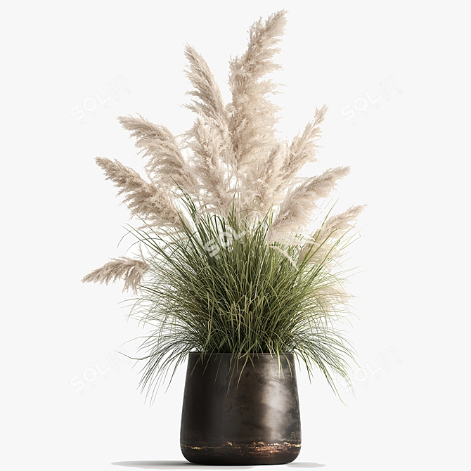 Exotic Plant Collection: Decorative Plants for Indoor and Outdoor Spaces 3D model image 6