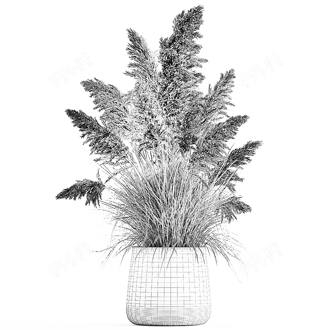 Exotic Plant Collection: Decorative Plants for Indoor and Outdoor Spaces 3D model image 7