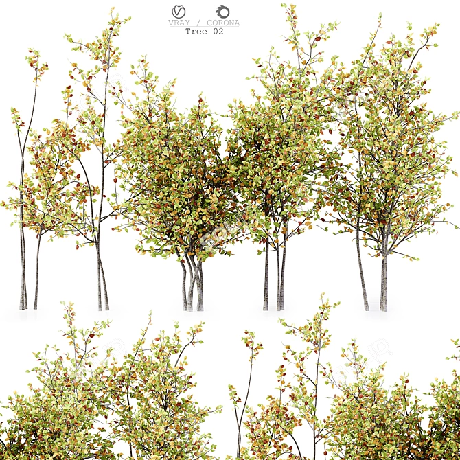 Elegant 3D Tree for Stunning Renders 3D model image 1