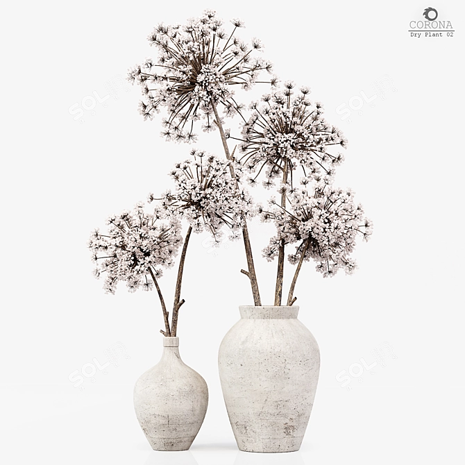 Title: Exquisite Dry Plant Model 3D model image 1