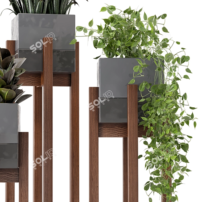 Wood & Concrete Indoor Plant Set (237) 3D model image 3