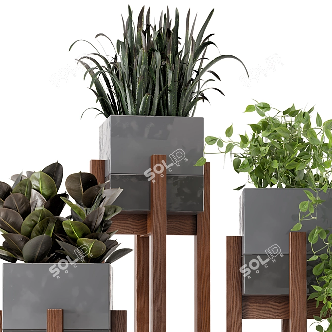 Wood & Concrete Indoor Plant Set (237) 3D model image 4
