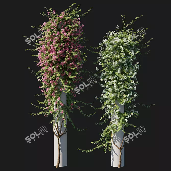 Elegant Bougainvillea Plant 05 3D model image 1