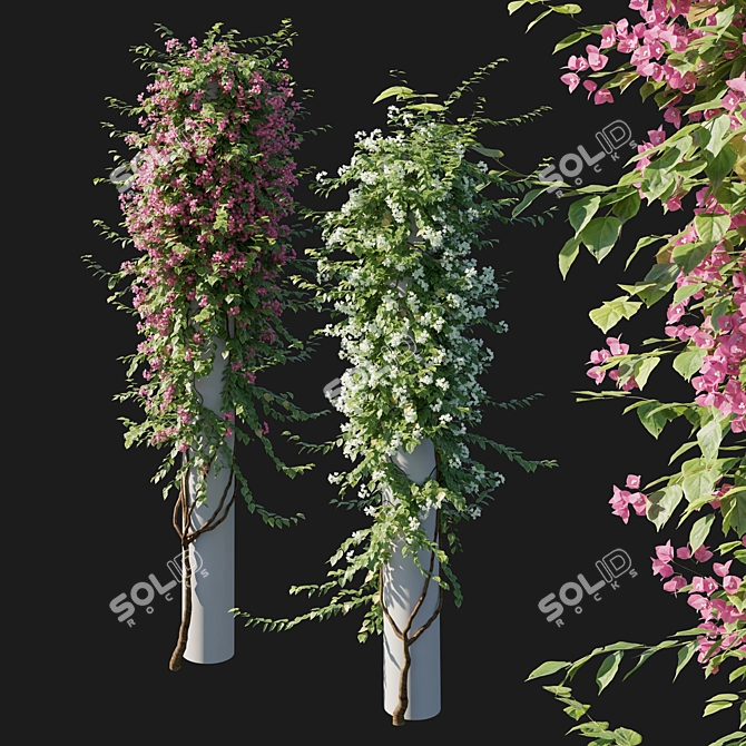 Elegant Bougainvillea Plant 05 3D model image 2