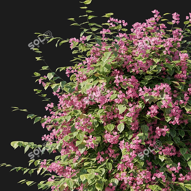 Elegant Bougainvillea 06 Sculpture 3D model image 2