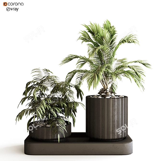 Lush & Green Plant Box Set 3D model image 1