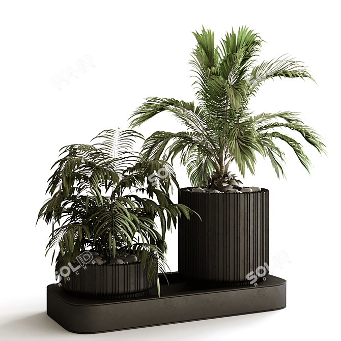 Lush & Green Plant Box Set 3D model image 2