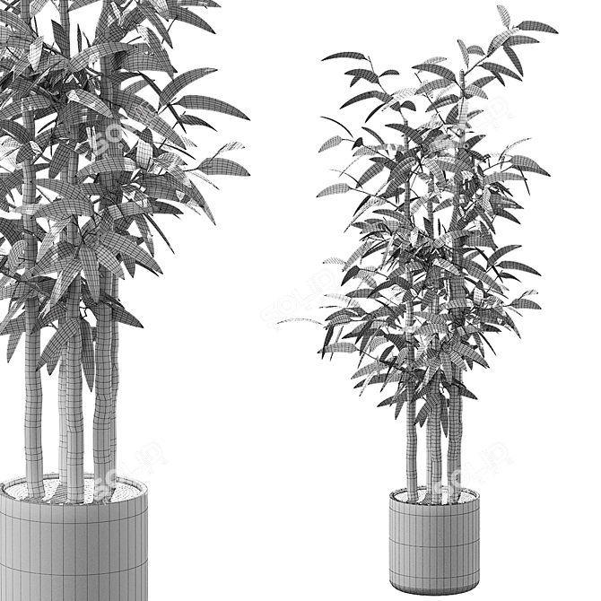 Green Oasis: Lush 3D Plant Collection 3D model image 2