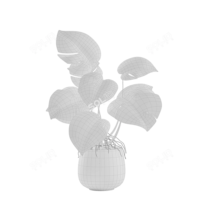 Tropical Indoor Plant Set 3D model image 6