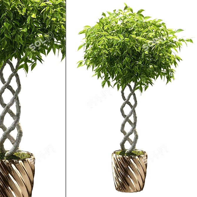Botanical Oasis: Set of 5 Plants 3D model image 1