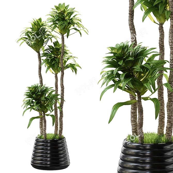 Exquisite Plants Collection 2014 3D model image 1