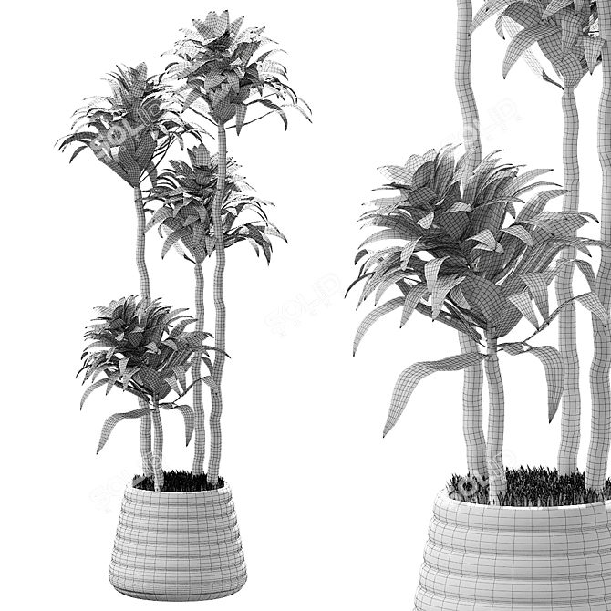 Exquisite Plants Collection 2014 3D model image 2